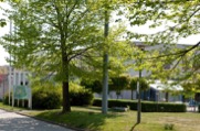 Berufsförderungswerk Sachsen-Anhalt
